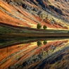 Fotokrajina.cz - fotografie krajiny | Krásné barevné ráno na Rannoch Moor jsme zakončili průjezdem údolí Glen Coe, kde byla hladina jednoho z malých jezer krásně klidná a dovolovala v ranních světle pořídit tento snímek. Hladina byla skutečně tak hladká, že nebýt travin vyrůstajících z vody, možná byste ani nepoznali, zda není snímek zrcadlově převrácený.